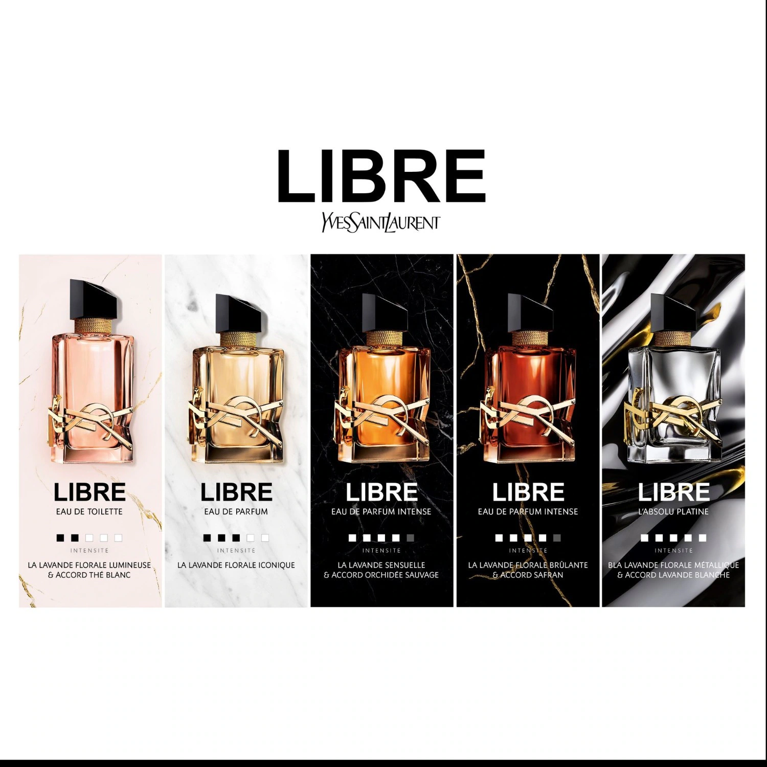 Yves Saint Laurent Absolu Platine
