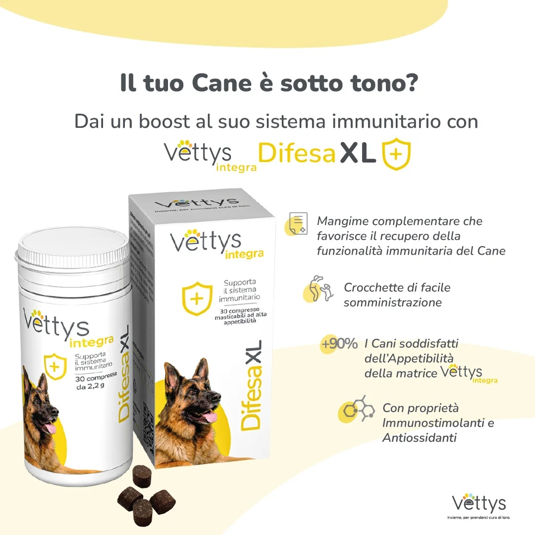 VETTYS Vettys Integra Difesa Xl 30 comprimidos