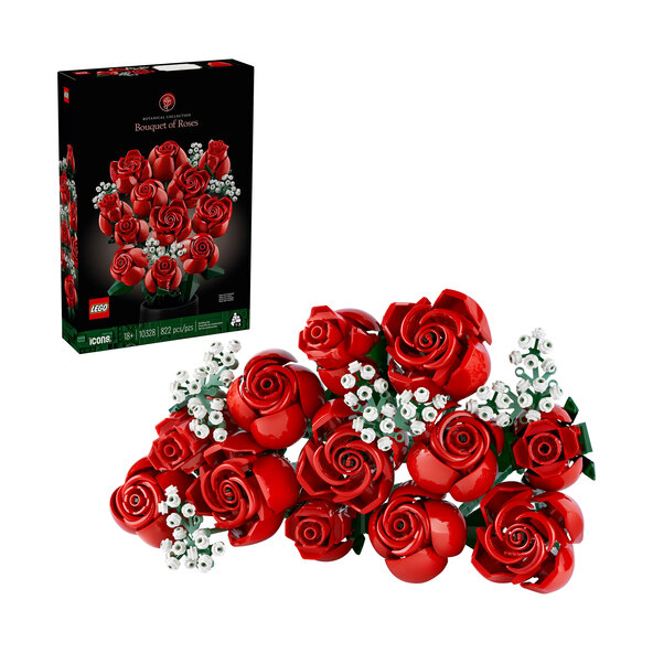 Ícones Rosenstrauß 10328