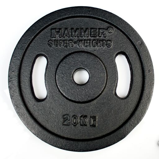  2 disques de musculation en fonte de 20 kg avec poignées Finnlo