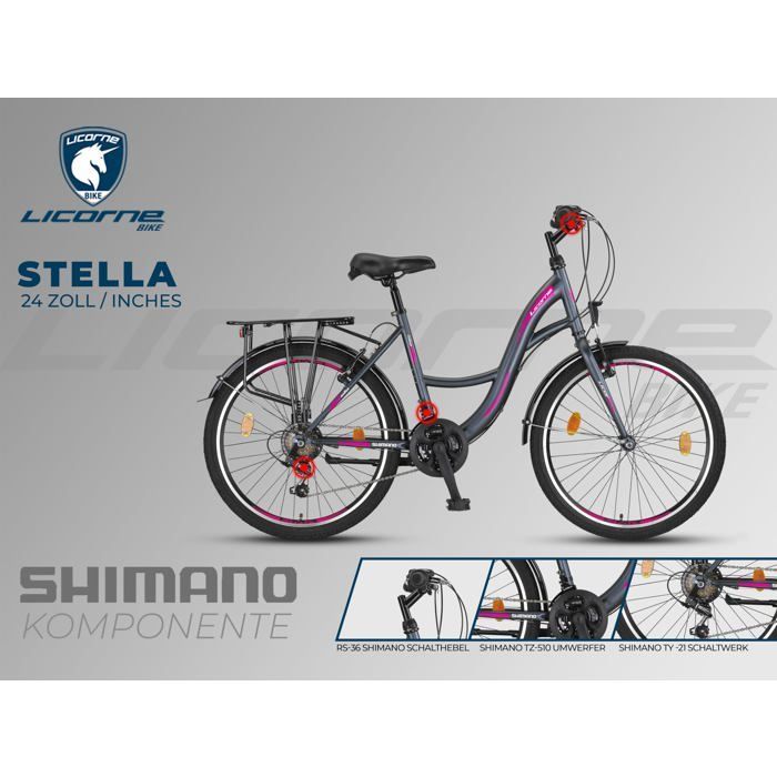 Licorne Bike Stella Premium City Bike 24,26 et 28 pouces – Vélo hollandais, Garçon [24, Anthracite]