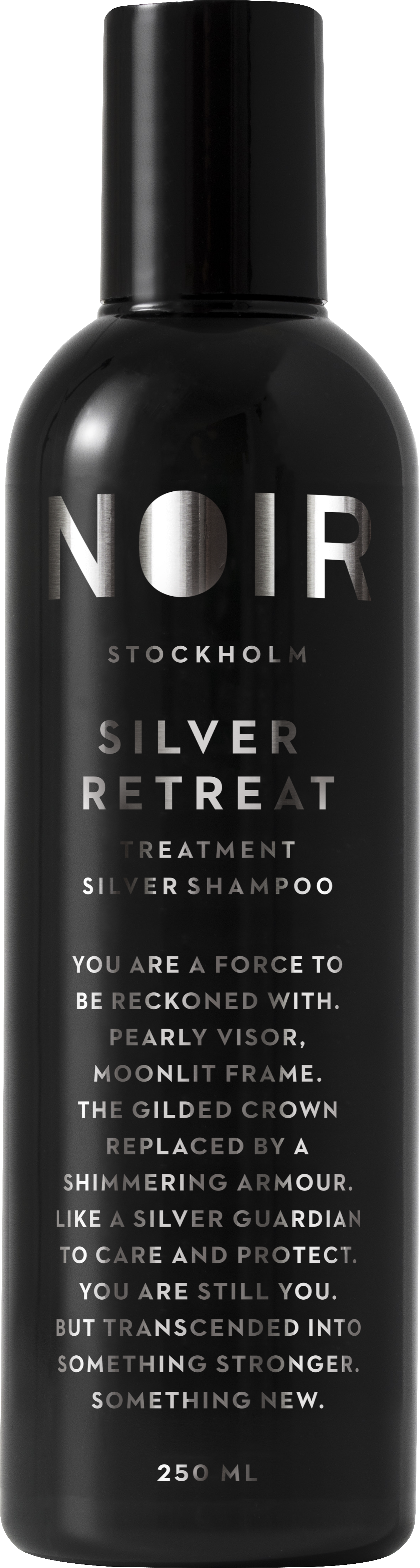 Silver Retreat Treatment Srebrni šampon 250 ml - NOIR Stockholm