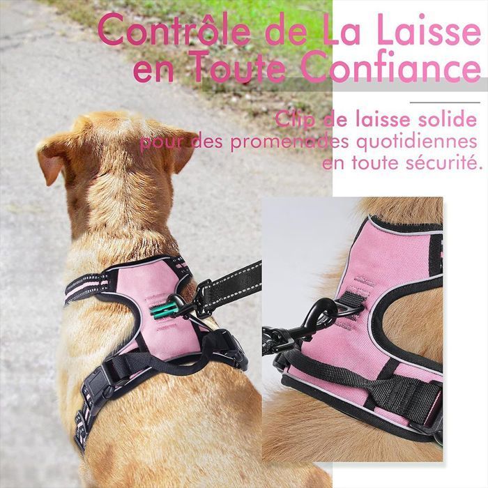 Harnais pour Chien - Noname - Taille M - Anti Traction - Réfléchissant - Laisse 1,5M