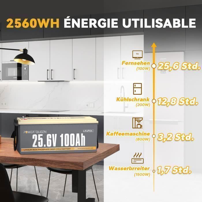 Power Queen 24V 100Ah 2560Wh Lithium LiFePO4-accu voor camper, caravan, reizen, scheepvaart en zonne-energiesystemen - Set van 2