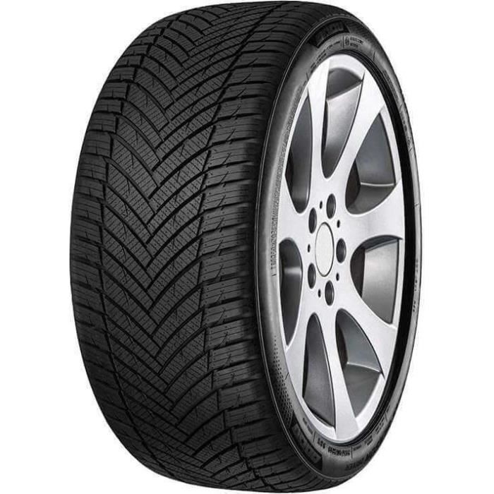 MINERVA ALL SEASON MASTER 3PMSF M+S XL 245/45 19 102Y - Neumático para todas las estaciones