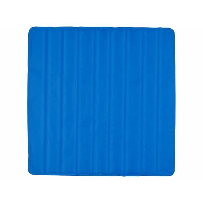 Sur-matelas rafraîchissant - NEWGEN MEDICALS - 90 x 90 cm - Bleu - Hydrogel polymère - 1 personne