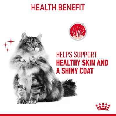 Royal Canin Hår- og hudpleie i gelé