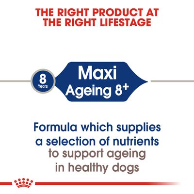 Royal Canin Maxi Ab 8+