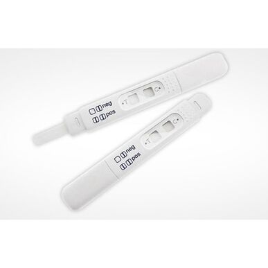 Osobní těhotenský test Pic 1 jednotka 1 jednotka
