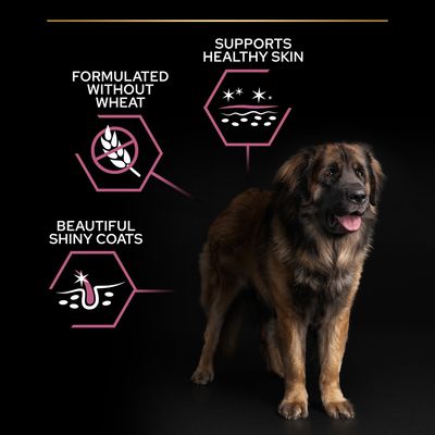 PURINA PRO PLAN Large Robust Adult Sensitive Skin Laks