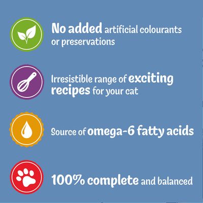 Felix Original Pouches 40 x 100g