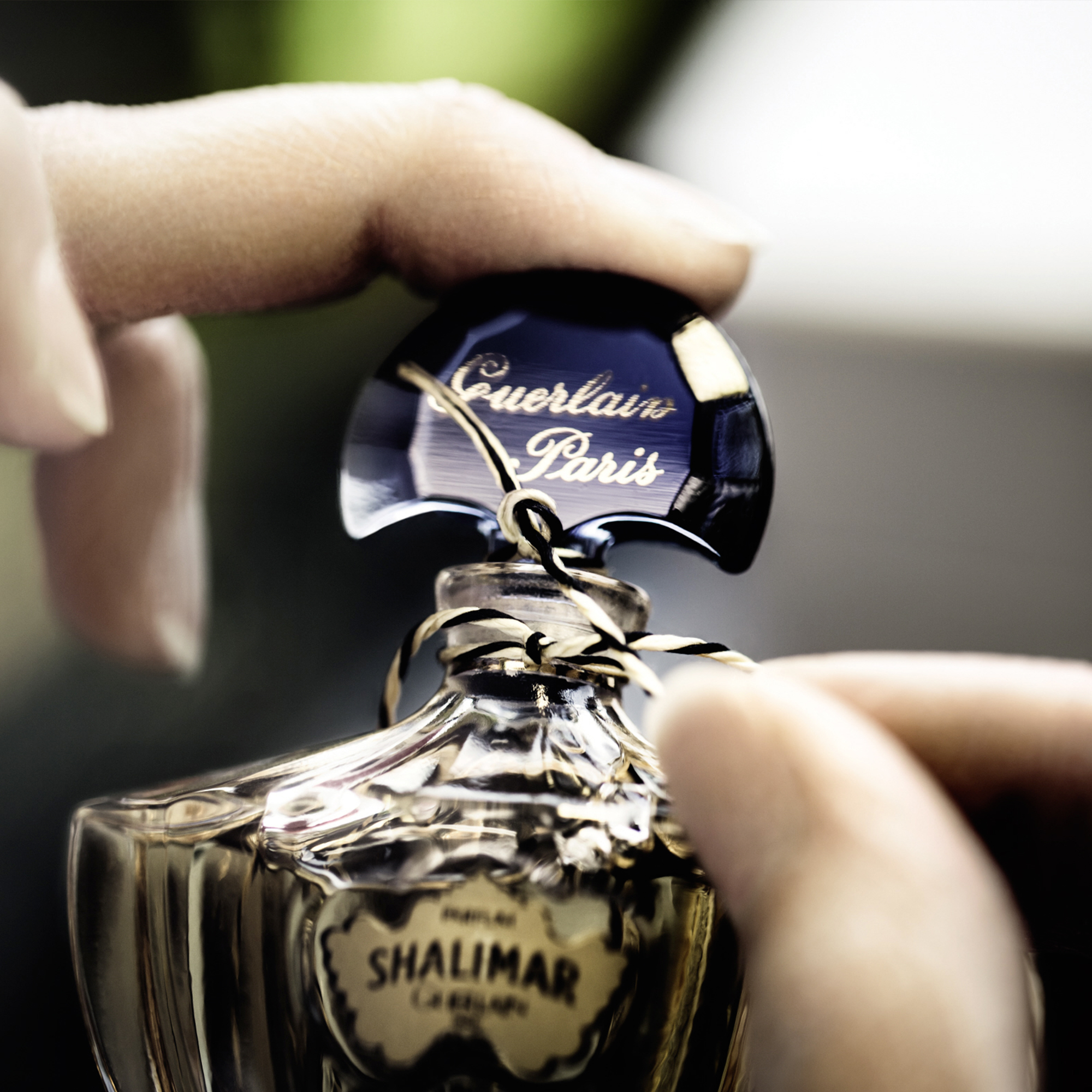 Shalimar Eau de Parfum 50 ml - GUERLAIN
