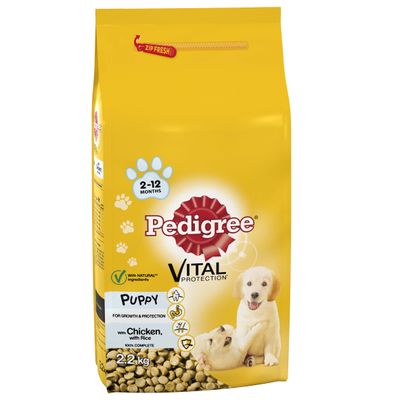 Hrană uscată pentru câini Pedigree + 42x Dentastix Large - Preț la pachet!*