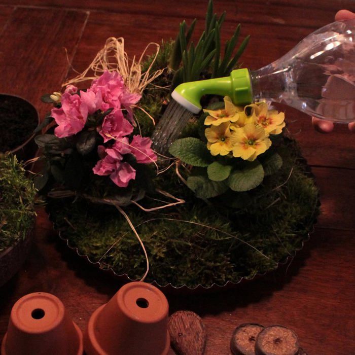 Gieteraccessoires: 3 kleine gieters, accessoires voor het water geven van kamerplanten, kleine gieter