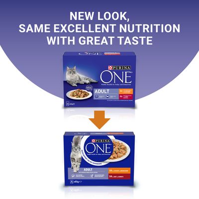 PURINA ONE felnőtt