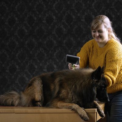 Moser stor plukkebørste