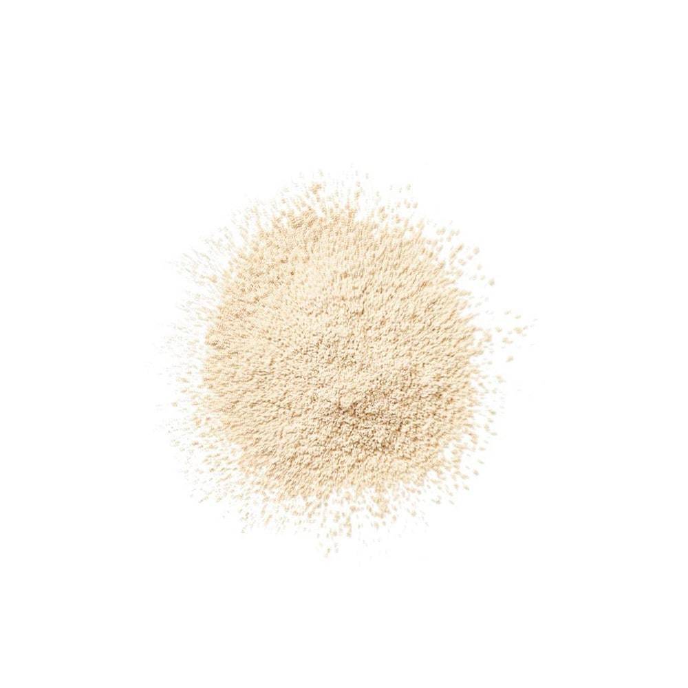 Clinique Powder Blended Face Powder Transparent matirajući puder - 25 g