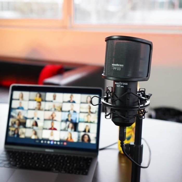 Microphone USB - WOODBRASS - UM1 - Cardioïde - Noir - Enregistrement Home Studio