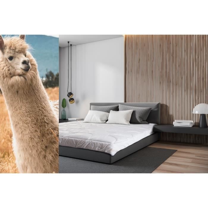 Edredón - Alpaca - 220 x 240 cm - Hipoalergénico - 4 estaciones - Natural