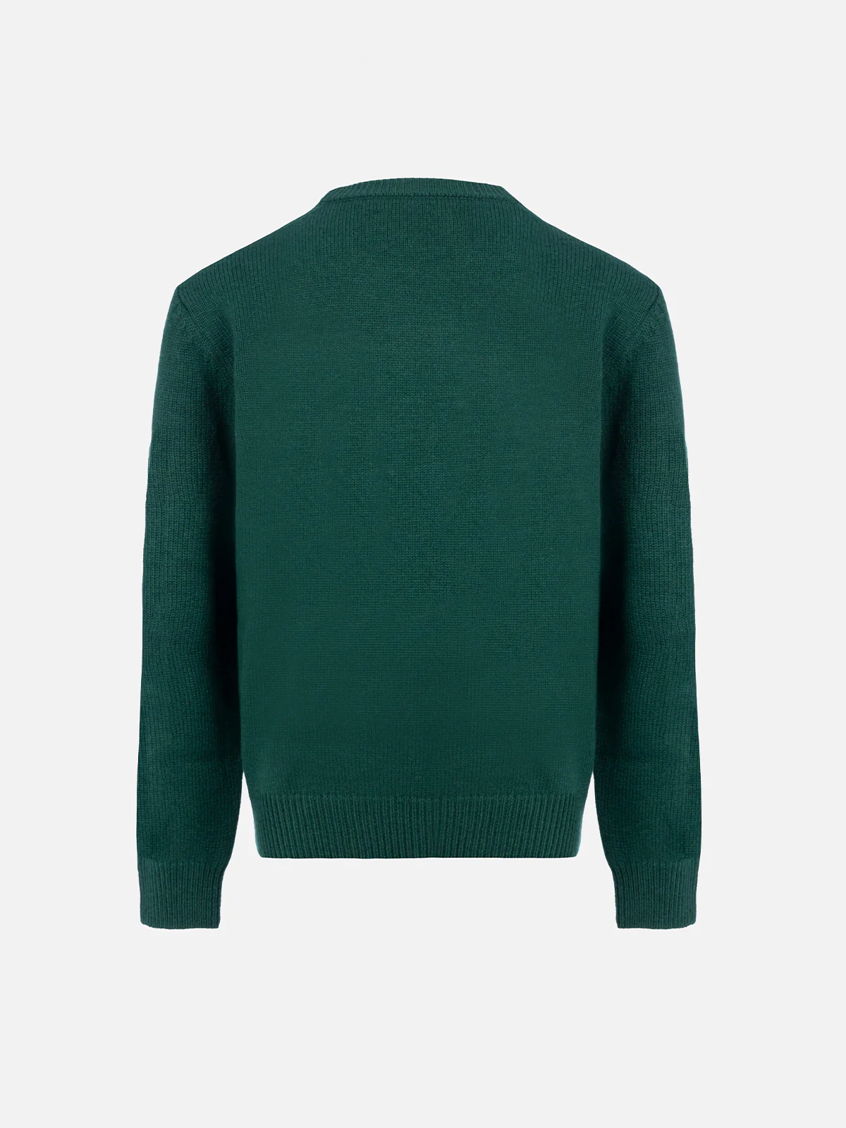 Grüner Jungen-Pullover mit Rundhalsausschnitt und Douglas-Beagle-Schal