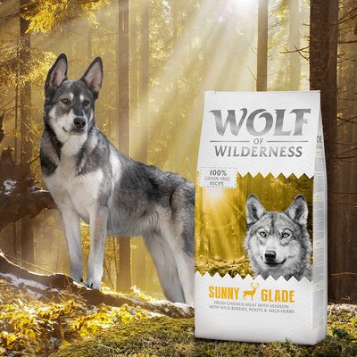 Οικονομικό πακέτο Wolf of Wilderness 2 x 12kg
