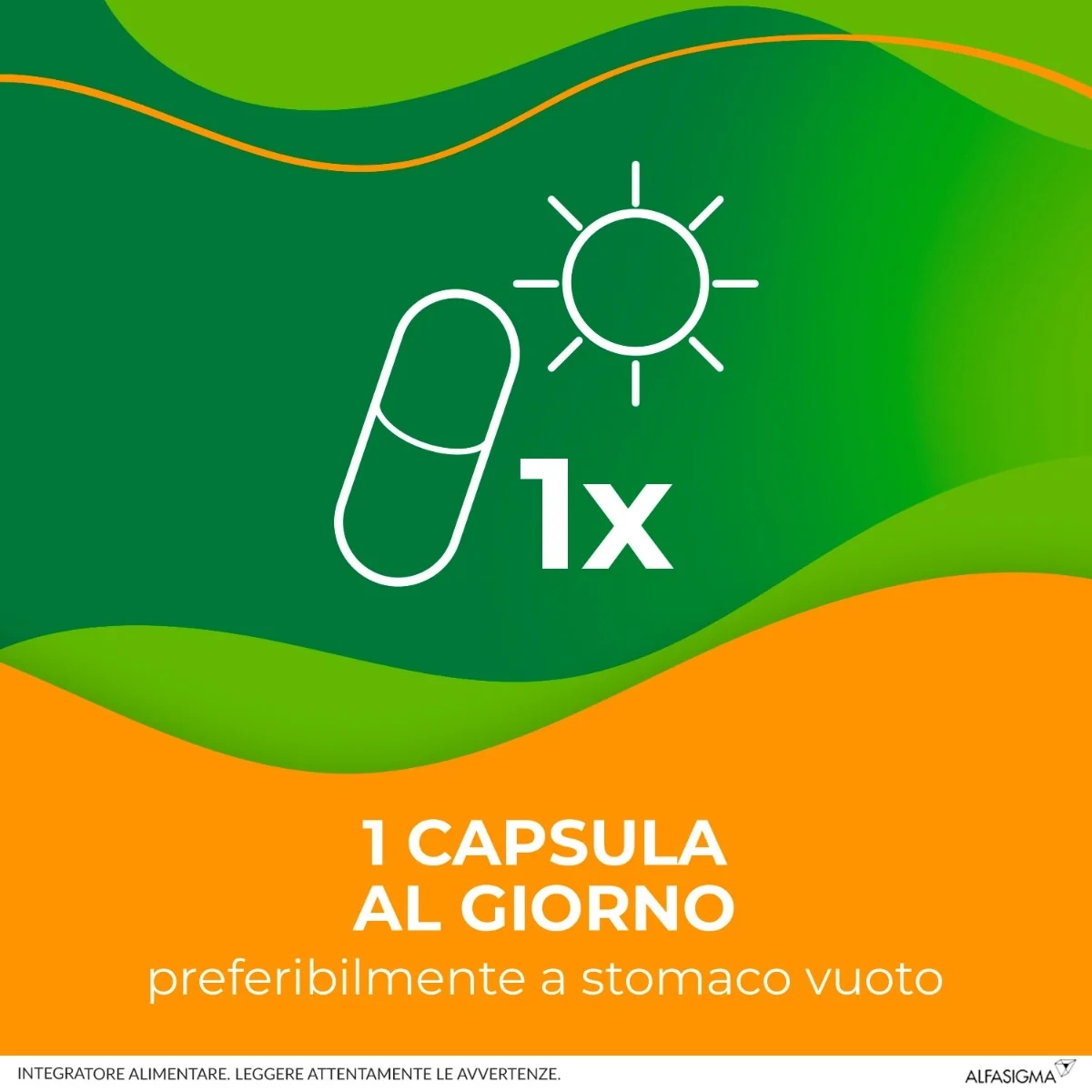ENTEROLACTIS Enterolactis 20 capsules 300 mg Voedingssupplement met melkzuurfermenten voor volwassenen Probiotische werking