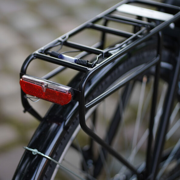 E-Bike Geniesser 1.0 28