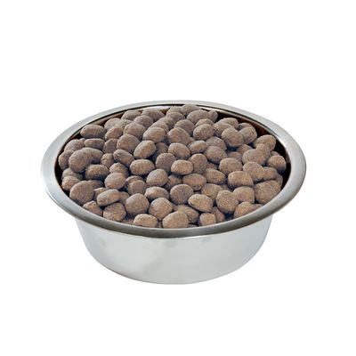PURINA PRO PLAN Large Robust Adult Everyday Nutrition