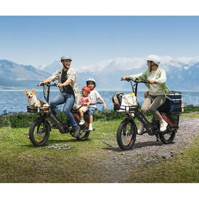Vélo électrique ENGWE-LE20 , transmission 7 vitesses, 250W, 48v38.4ah, pneus 20 pouces, freins hydrauliques, autonomie 340km-bleu