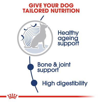 Royal Canin Maxi Ageing 8+ w sosie