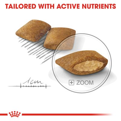 Royal Canin Mini Demanding