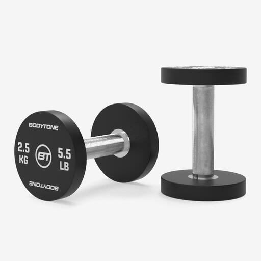  Haltères Bodytone de 2,5 kg