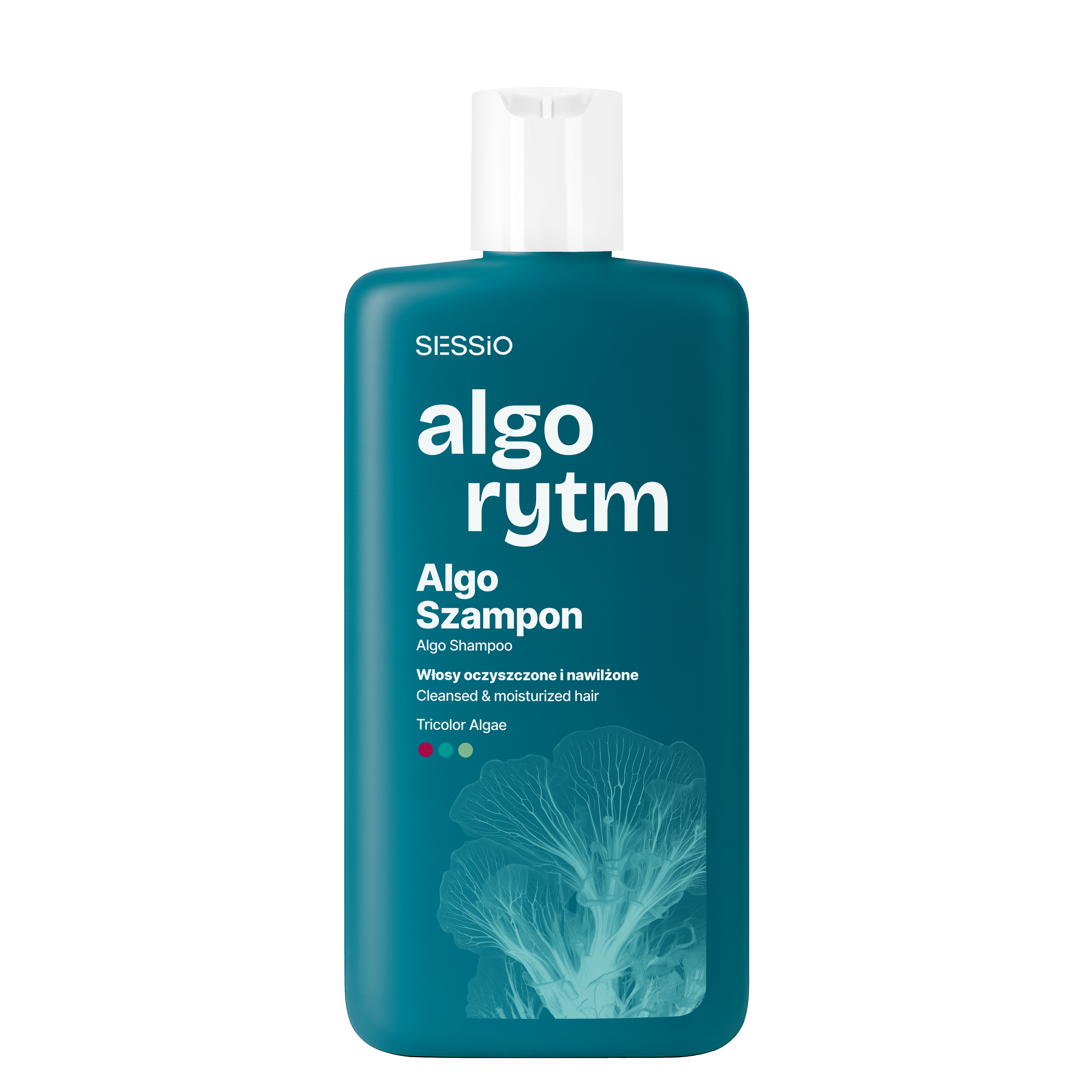 Sessio-algoritmen
