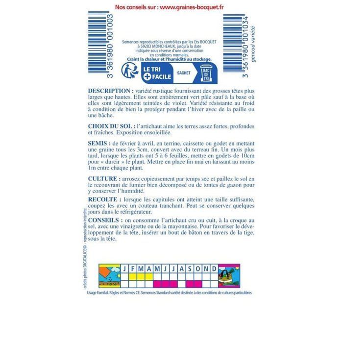 Graine - Semence - Artichaut gros vert de Laon