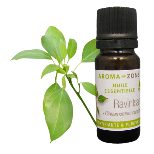Huile essentielle Ravintsara (Ravintsare) BIO 10ml