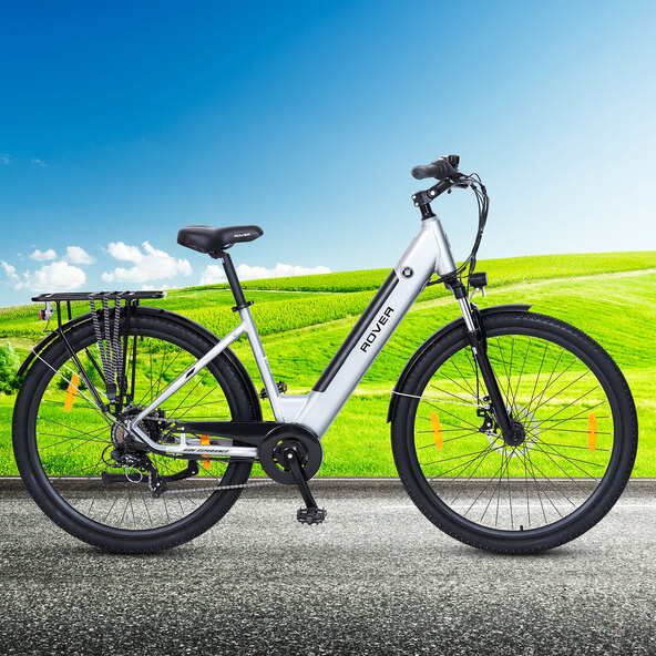 Bicicletă electrică de drumeție TLR 709