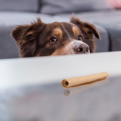 Bâtonnets à mâcher SmartSticks au poulet