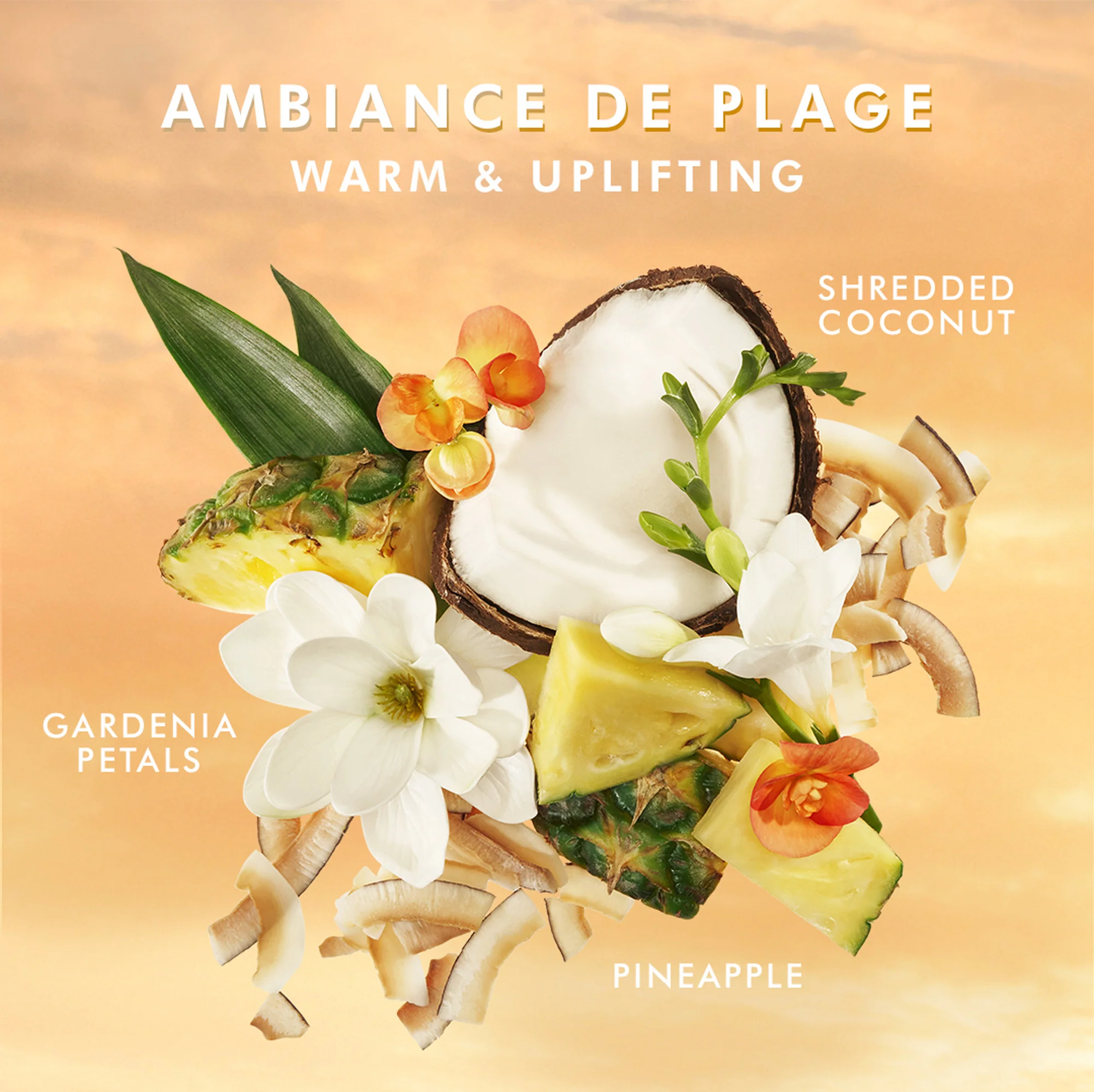 Body hand wash ambiance de plage - Detergente Mani