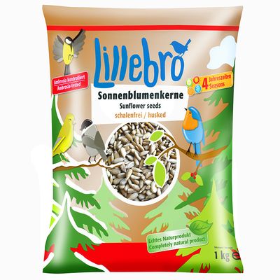 Lillebro-schilvrije zonnebloempitten