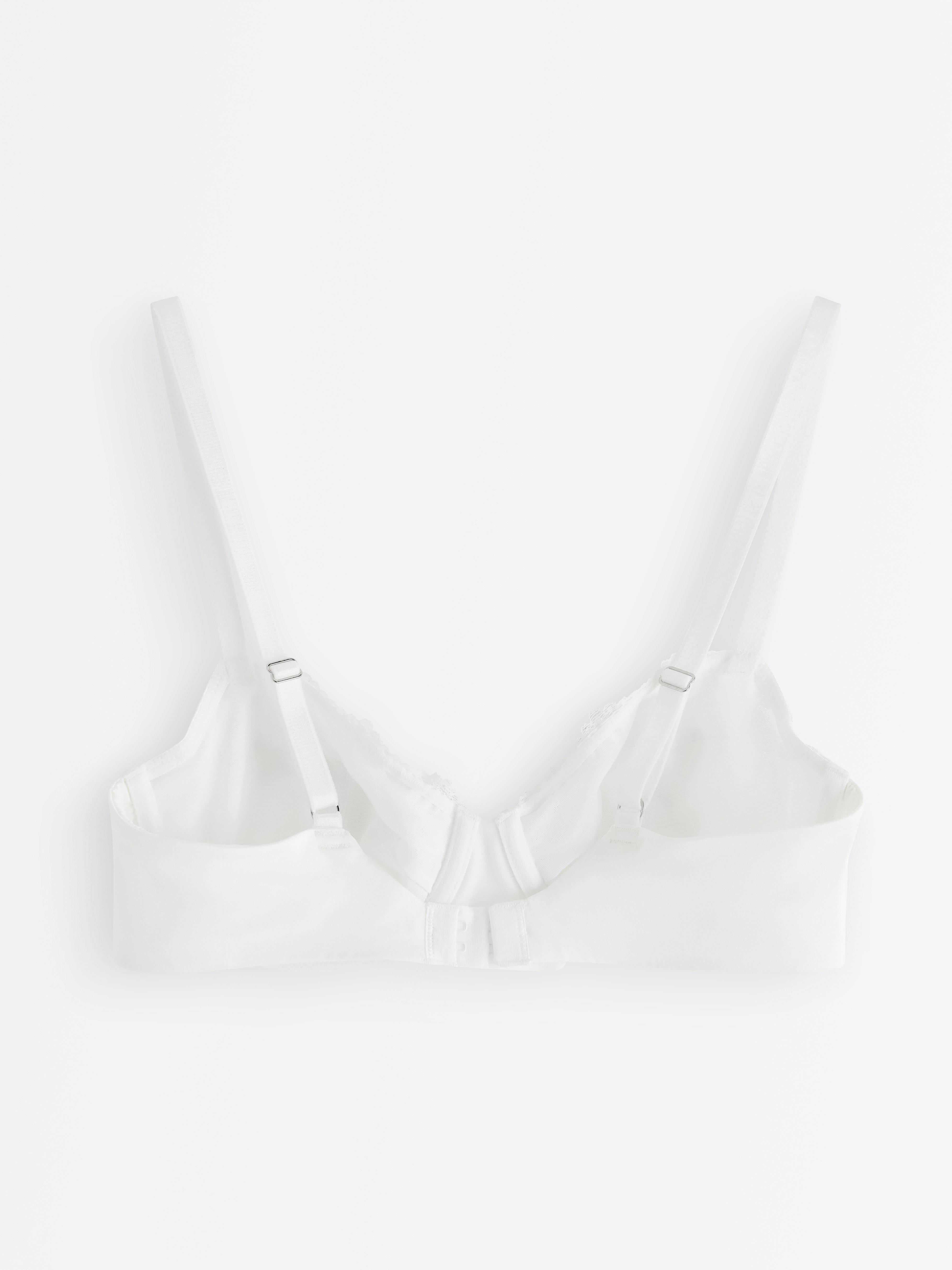 Aster ovadderad bh White