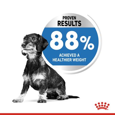 Îngrijire pentru câini mici Royal Canin Mini Light Weight