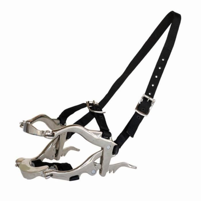 Tattini Con testiera Pferdemaulöffner - grau - Einheitsgröße - Reiten - Kind - Mann