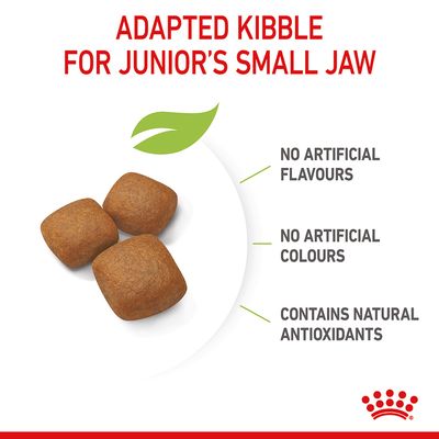 Royal Canin Giant Junior