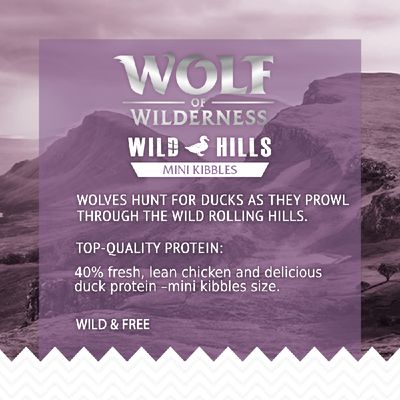 Wolf of Wilderness Adult Mini 