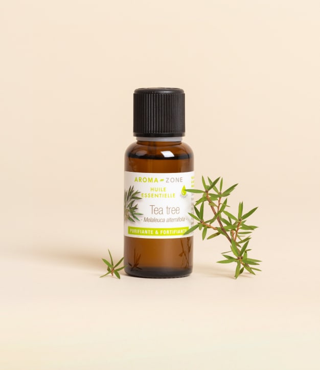 Huile essentielle Tea tree (Arbre à Thé) 30ml