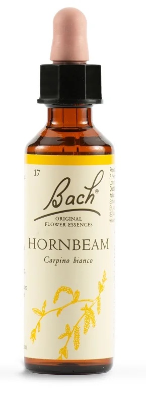 SCHWABE Schwabe Bachbloesems 17 haagbeukdruppels 20 ml