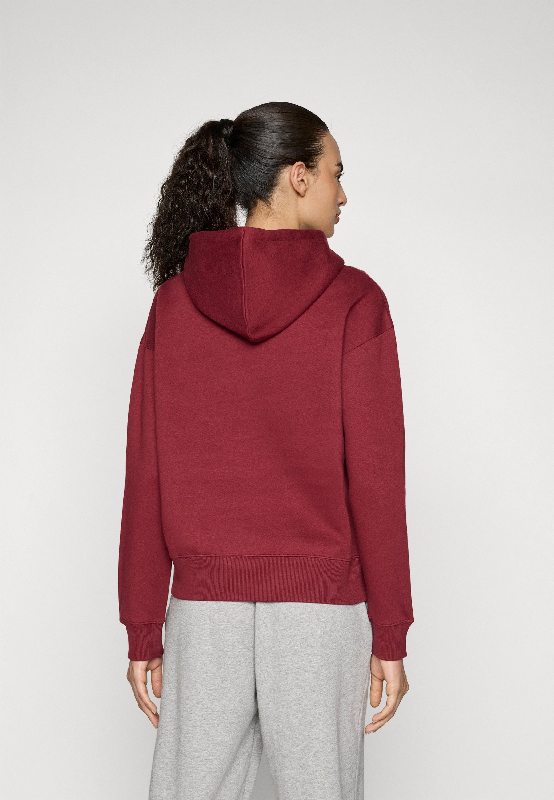 Sweat à capuche Reebok COLOR LOGO - Bordeaux classique