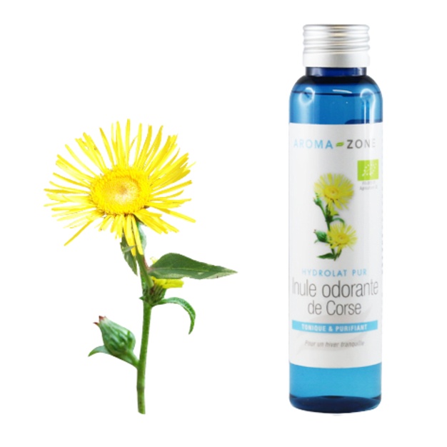 Hidrolato aromático orgánico de Inula corsa
