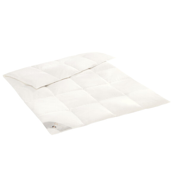 Dekbed van veren en dons, Winter Starter, 200 x 220 cm