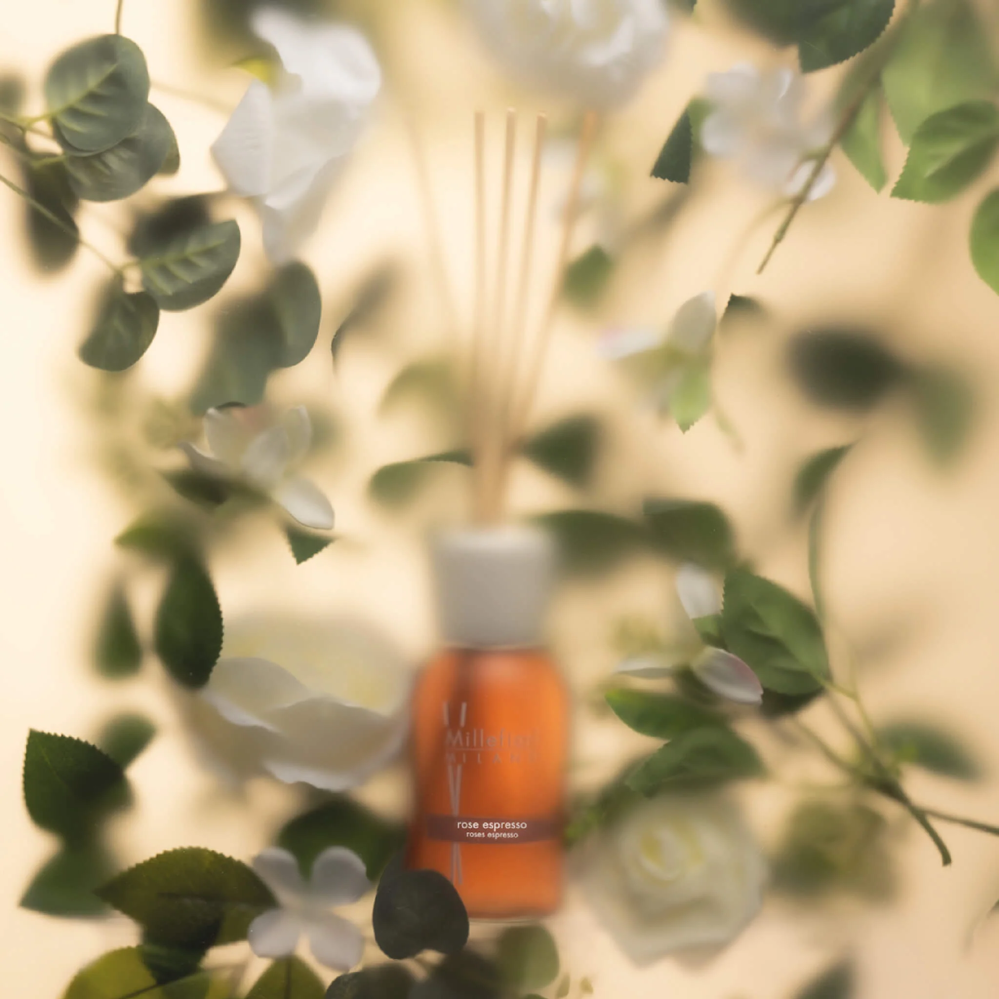 Millefiori Milano Rose Espresso - Diffusore di Profumo
